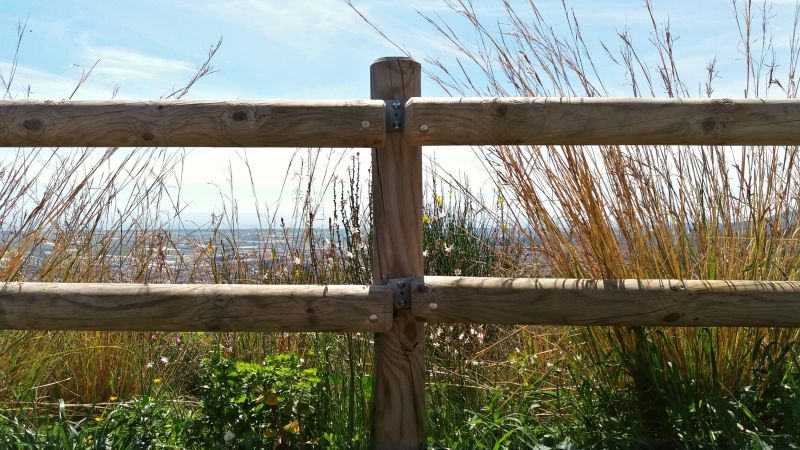 Natural Wood Fence